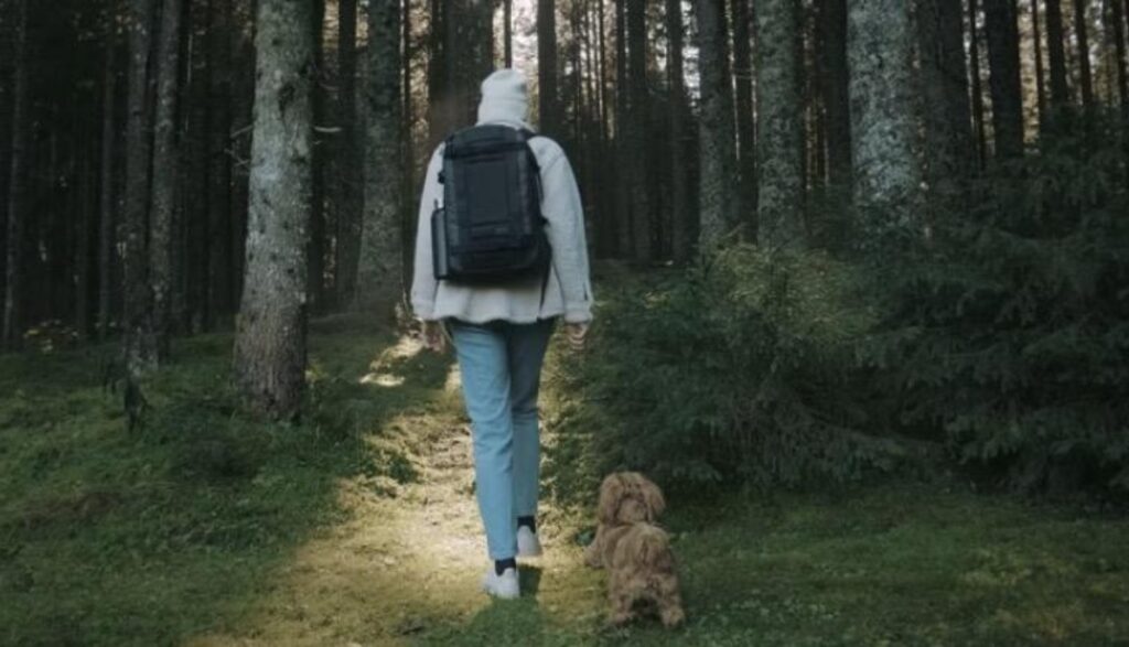 Recover from burnout